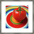 Tomato On Plate With Circles Framed Print