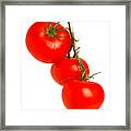 Tomatoes On The Vine Framed Print