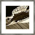 Tooth Decay Framed Print