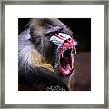 Toothache Framed Print