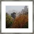 Topiary Peacocks In The Autumn Mist, Great Dixter 2 Framed Print