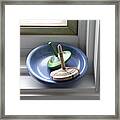 Tops In Blue Bowl On Window Sill Framed Print