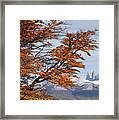 Torres Del Paine In Fall Framed Print
