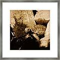 Tortoise 1 Framed Print