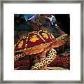 Tortoise In The Garden Framed Print