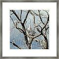 Tower And Trees Framed Print