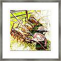 Tractor Seats Framed Print