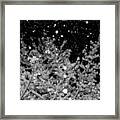Tranquil Snowfall Framed Print
