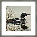 Tranquil Stillness Of Nature Framed Print