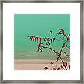 Tranquil View Framed Print