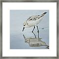 Tranquility Framed Print