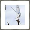 Transcend Framed Print