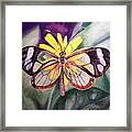 Transparent Butterfly Framed Print