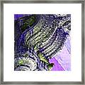 Travel Pigeons In Exotic Palaces India Rajasthan 3a Framed Print