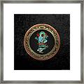 Treasure Trove - Turquoise Dragon Over Black Velvet Framed Print