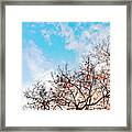 Tree #2 Framed Print