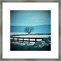 Tree And Fence In Snow Framed Print