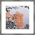 Tree Hanging Over Coffee Pot Framed Print