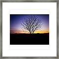 #tree #nature #naturelovers Framed Print