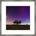 Tree Of Aurora Framed Print