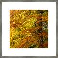 Tree Of Fire - Impressionist Framed Print