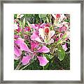 Tree Of Orchids Framed Print