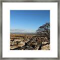 Tree On The Rocky Desert Framed Print