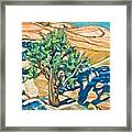 Tree Shadow On Slickrock - Lwtss Framed Print