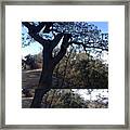 Tree Silhouette Collage Framed Print