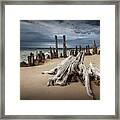 Tree Stump And Pilings On The Beach Framed Print