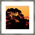 Tree Sunset Framed Print