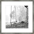 Tree Swing Framed Print