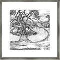 Tree Witch Is There Framed Print
