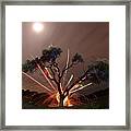 Treeburst Framed Print