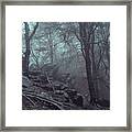 Trees And Rocks In Misty Woods Framed Print