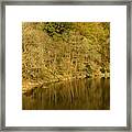 Trees And Water Framed Print