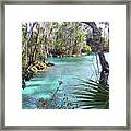 Trees By The Spring Framed Print