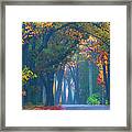 Trees Crossing The Road Framed Print