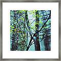 Trees Growing In Silo - Blu-green Filter Wide Edition Framed Print