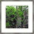 Trees Growing In Silo - Panorama Edition Framed Print