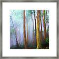 Trees In Mist Framed Print