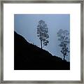 Trees In The Mist Near Coonoor Framed Print