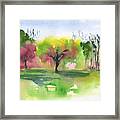 Trees In The Spring At The Commons Framed Print