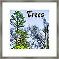 Trees Logo Framed Print