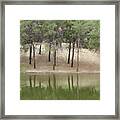 Trees Reflection In Water Framed Print