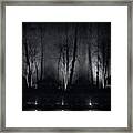 Tri-birch In Monochrome Framed Print