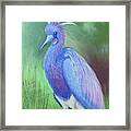 Tri Color Crane Framed Print