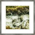 Trickle Of Stream Framed Print