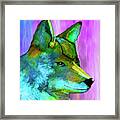Trickster Coyote Framed Print