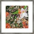 Trillium And More Framed Print